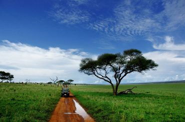 How To Own A Safari For Free